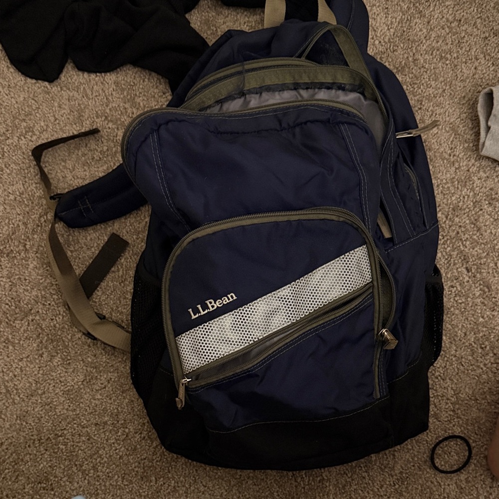 L.L. Bean Blue and Green Backpack